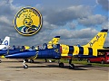«BALTIC BEES» jet team, Augstākās pilotāžas profesionālā aviācijas grupa
