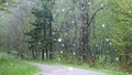 Pirmdien visā Latvijā gaidāms lietus un slapjš sniegs
