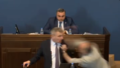 VIDEO ⟩ Gruzijas parlamenta sēdē starp deputātiem izceļas kautiņš