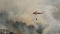 VIDEO ⟩ Spānijā plosās plašs meža ugunsgrēks