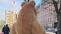 VIDEO ⟩ Talismans lācis Tinky Rīgas centrā dabū pa purnu