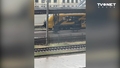 VIDEO ⟩ Rīgas Centrālajā dzelzceļa stacijā gar peroniem rikšo bezbailīga lapsa