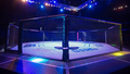 "Бойцовский остров": UFC спрячется от коронавируса
