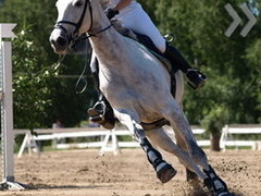 Умер трехкратный олимпийский чемпион по конному спорту Ричард Мид