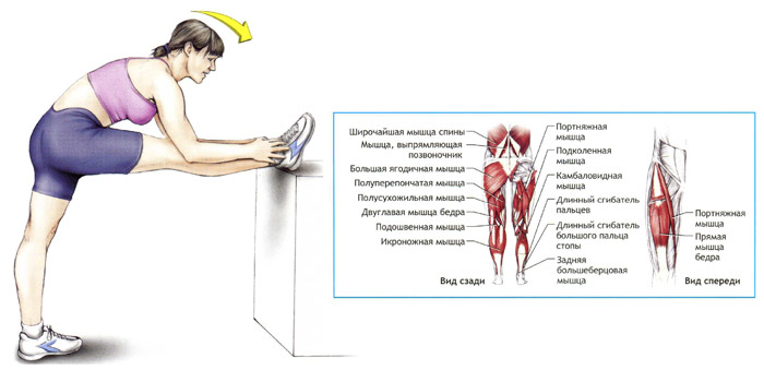 Разрыв двуглавой мышцы бедра: лечение в Москве