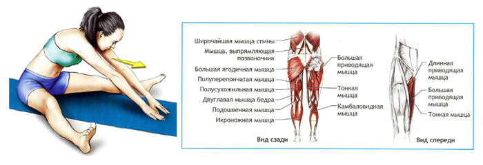 Клиника лечение суставов и позвоночника