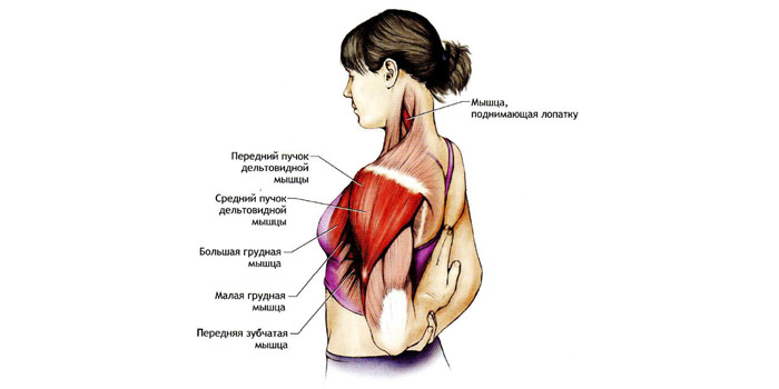 Боль в груди у женщин – причины и симптомы