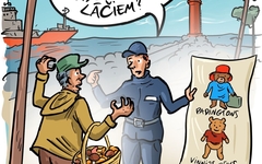 Identificēt lāci