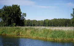 Ceturtdiena gaidāma daļēji mākoņaina