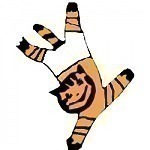 Rīgas vingrošanas skola