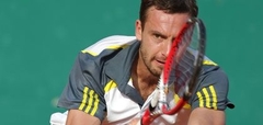 Gulbis un emocijas