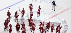 Pārdots NHL klubs Fīniksas «Coyotes»