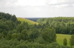 Kornetu «Stirnu buks» lēks arī Burvju un raganu zemē