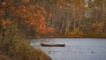 Foto: Zelta rudens Latvijas laukos