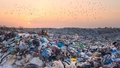 Komandā ir spēks! Atkritumu izvedēji pārmeklē izgāztuvi, lai palīdzētu atrast netīšām izmestu laulību gredzenu