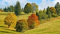 Dažviet Latvijā jau iestājies meteoroloģiskais rudens