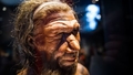 Sekss ar dažādām sugām un slimību izplatība. Kā neandertālieši nodarbojās ar seksu?