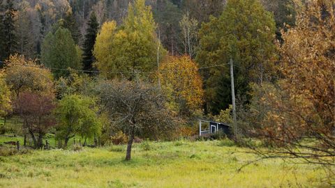 Svētdiena būs rudenīgi silta, bet apmākusies