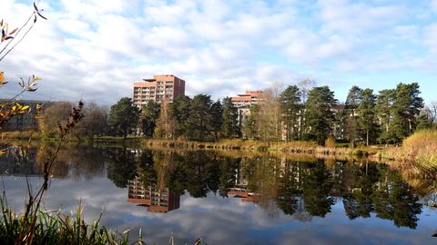 Velnezeru sāks attīrīt no vēsturiskā fosfora piesārņojuma