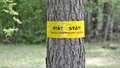 Atkal pagarina operāciju "Vilkatis"