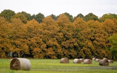 Nedēļas horoskops 2.-8. oktobrim