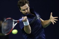 Gulbis turpina neveiksmju sēriju