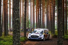 Meža līkumos starp kokiem