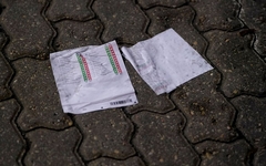 Saeimas vēlēšanās visvairāk plusu pievienojuši opozīcijas partiju, visvairāk mīnusu koalīcijas partiju vēlētāji