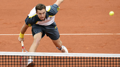 Gulbis trijos setos piekāpjas Hāsam