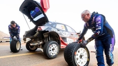 Sesks: Centāmies samainīt visu, ko vien varēja