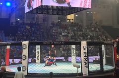 В чемпионате мира "Бои по правилам TNA" примут участие четверо россиян