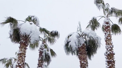 В МЛС сыграли самый холодный матч