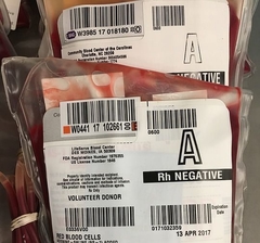 Второй австрийский велогонщик признался в применении допинга