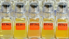 ВФЛА отстранила трех тренеров