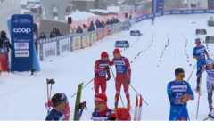 Шведский лыжник ответил на критику россиянина фразой "они все тупые"