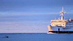 Берлинских серферов лишают волны