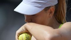 Шарапова проиграла Уильямс в финале Roland Garros