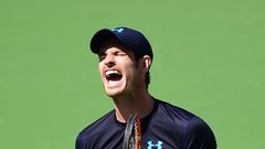 Маррэй поднялся на вторую строчку в чемпионской гонке ATP