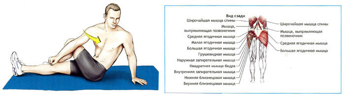 Растяжка отводящих мышц. Растянуть мышцы задней поверхности бедра. Упражнения для растяжки задней поверхности. Что делать если потянул мышцу бедра. Анатомия стретчинга.
